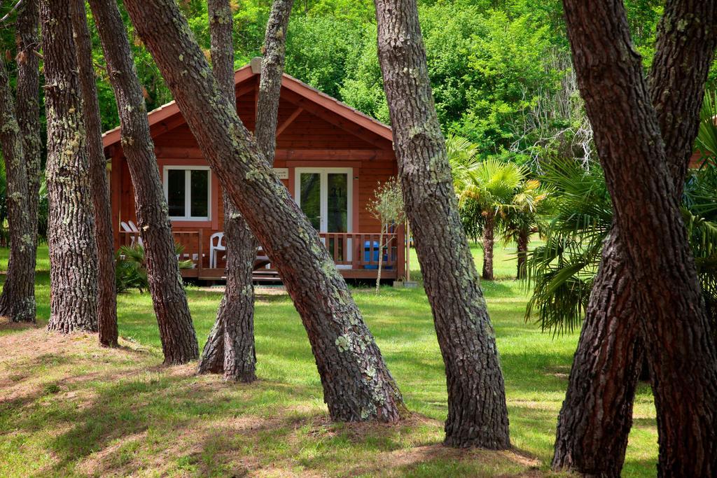 Domaine Du Roi Kysmar Hotel Villandraut Cameră foto